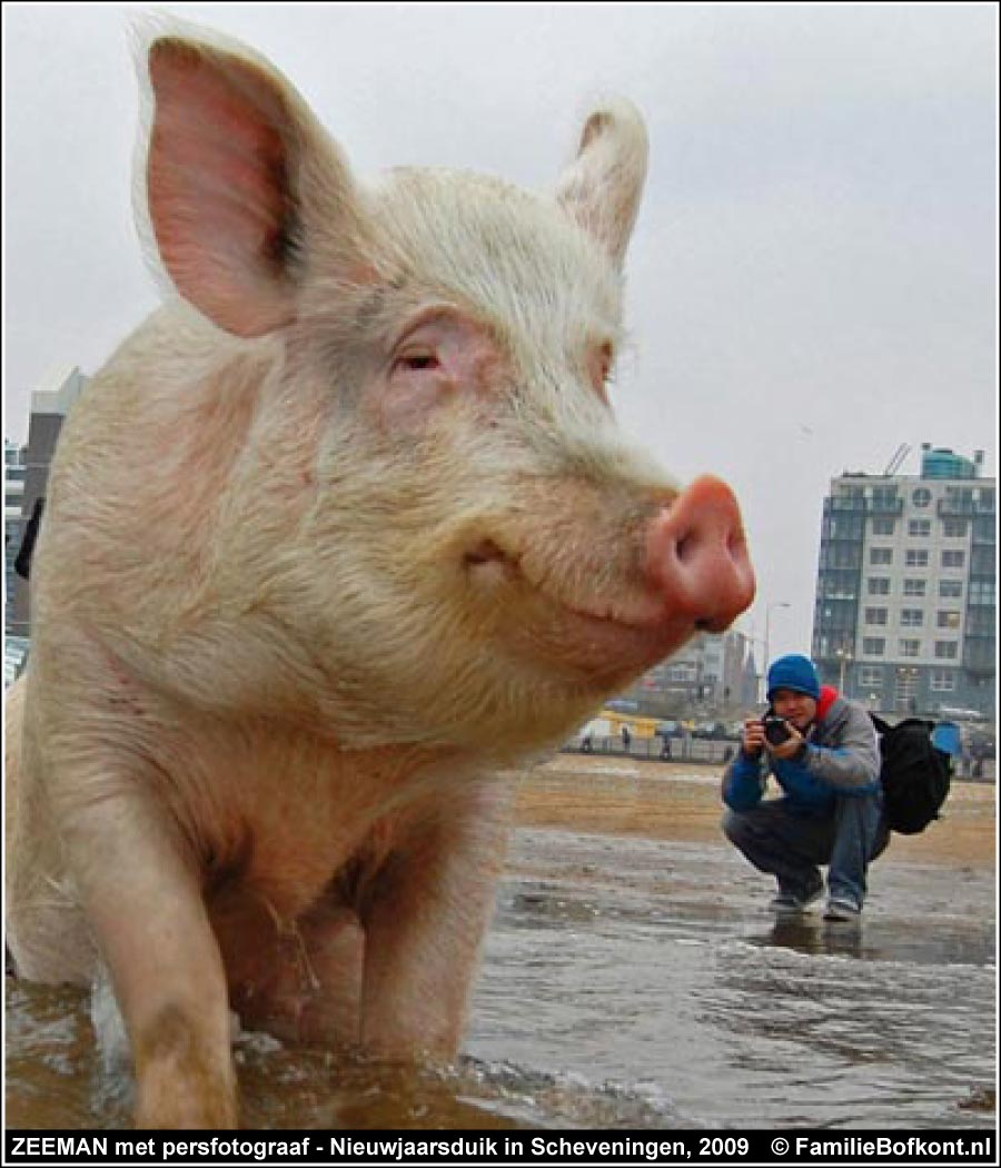 ZEEMAN met persfotograaf - Nieuwjaarsduik in Scheveningen, 2009