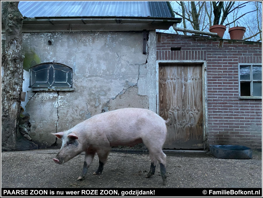 Paarse ZOON is nu weer roze ZOON, godzijdank!