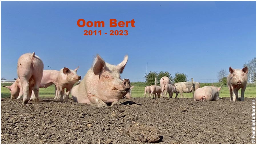Oom Bert     2011-2023