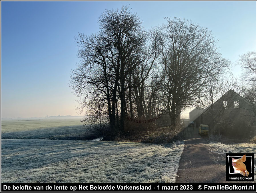 De belofte van de lente op Het Beloofde Varkensland - 1 maart 2023