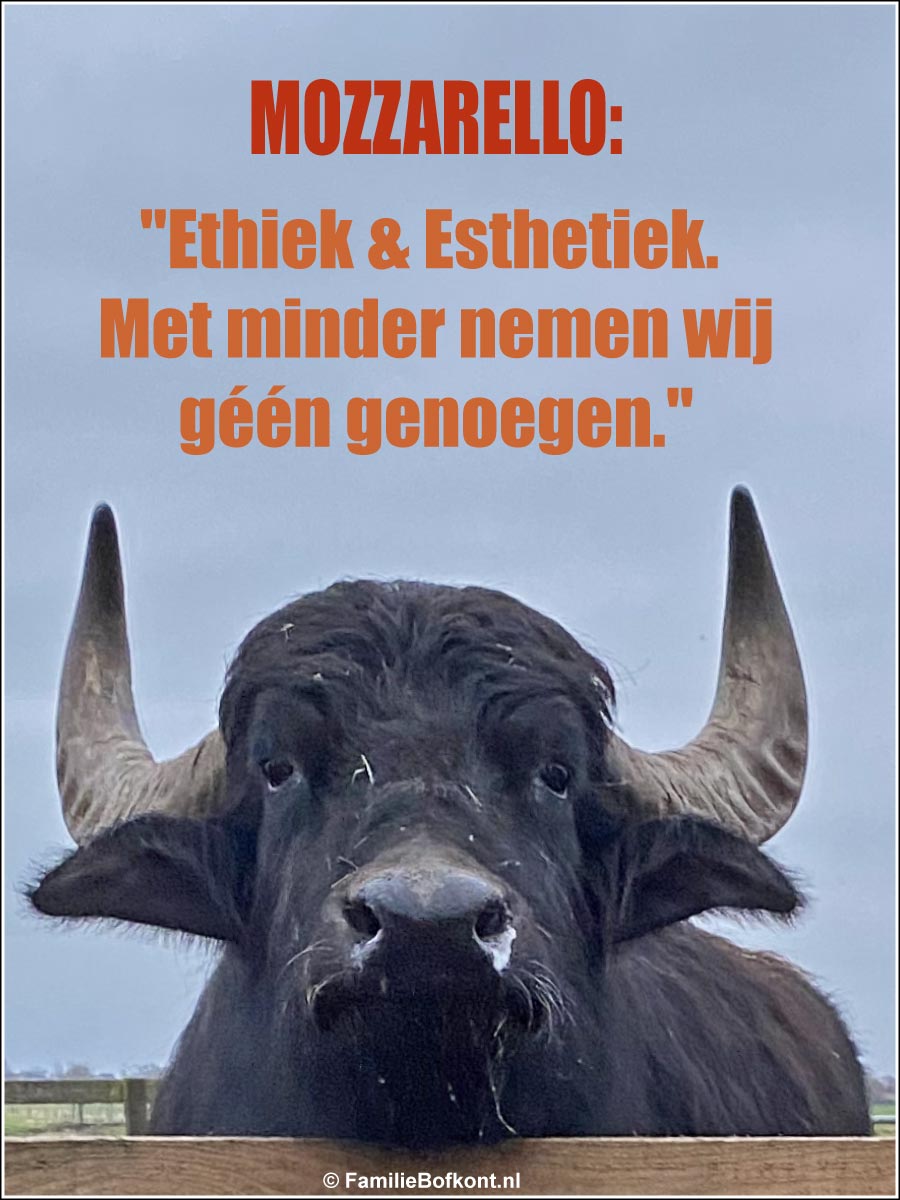 MOZZARELLO: Ethiek & Esthetiek. Met minder nemen wij géén genoegen.