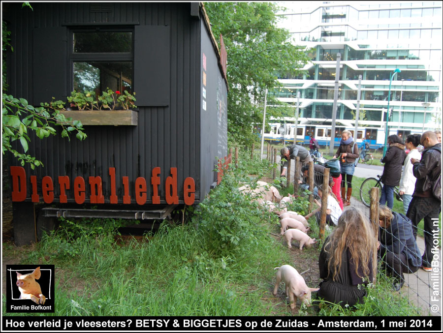 Hoe verleid je vleeseters? BETSY & BIGGETJES op de Zuidas - Amsterdam, 1 mei 2014