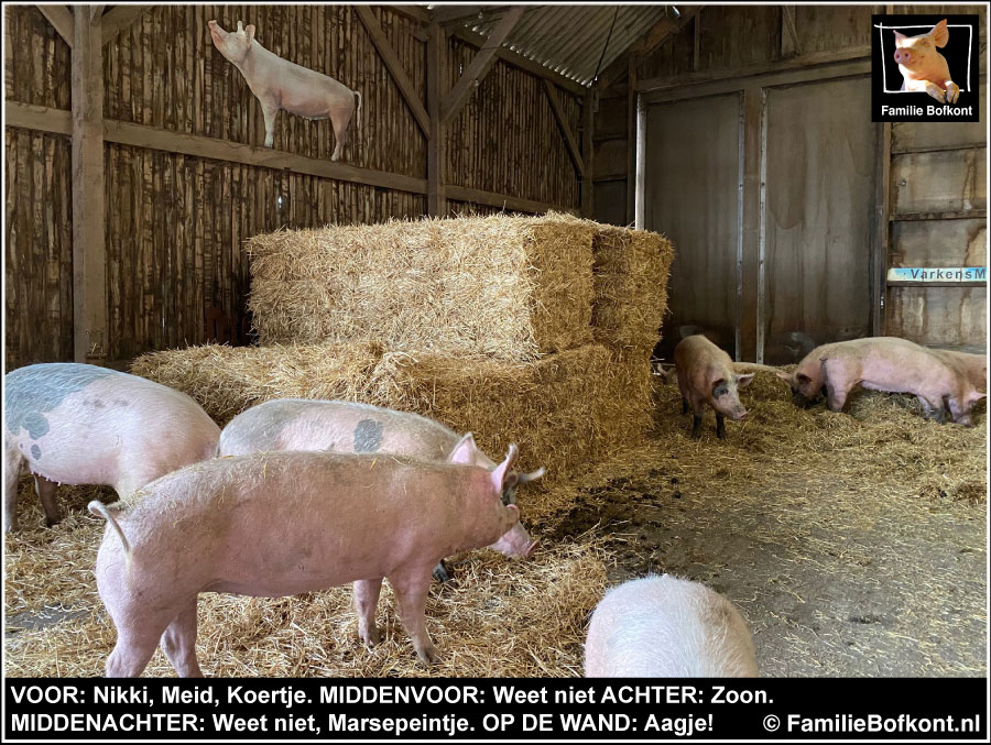 VOOR: Nikki, Meid, Koertje. MIDDENVOOR: Weet niet ACHTER: Zoon. MIDDENACHTER: Weet niet, Marsepeintje. OP DE WAND: Aagje!