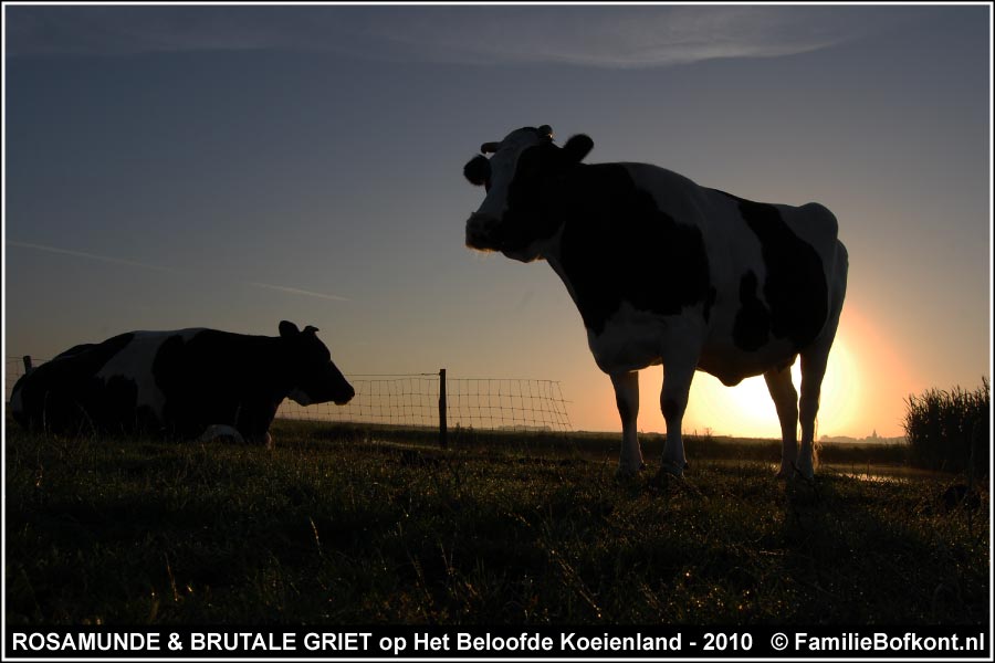 ROSAMUNDE & BRUTALE GRIET op Het Beloofde Koeienland - 2010