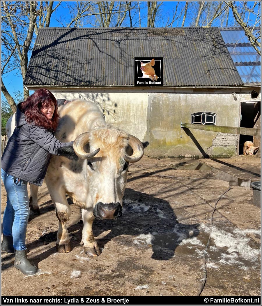 Van links naar rechts: Lydia & Zeus & Broertje