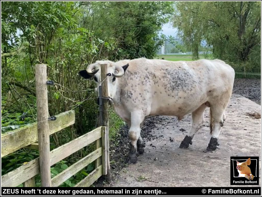 ZEUS heeft ’t deze keer gedaan, helemaal in zijn eentje...