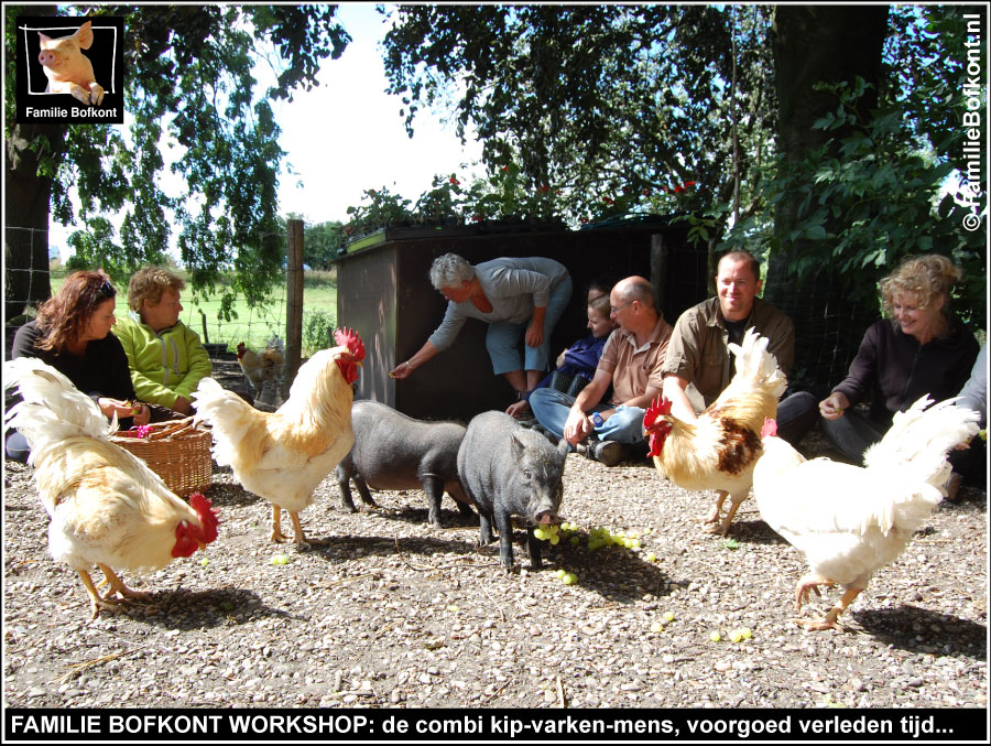 FAMILIE BOFKONT WORKSHOP: de combi kip-varken-mens, voorgoed verleden tijd...