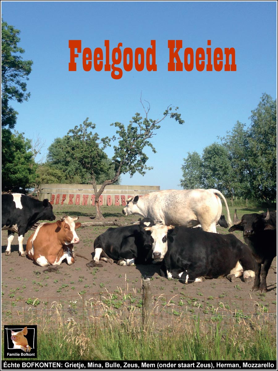 Échte feelgood koeien: Grietje, Mina, Bulle, Zeus, Mem (onder staart Zeus), Herman, Mozzarello