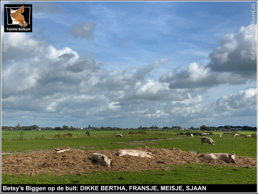 Betsy's Biggen op de bult: DIKKE BERTHA, FRANSJE, MEISJE, SJAAN