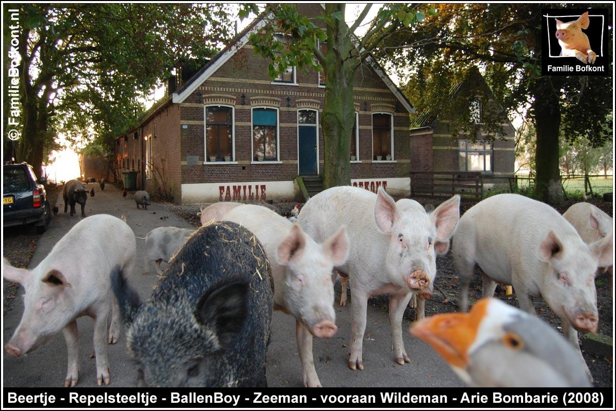 Beertje - Repelsteeltje - BallenBoy - Zeeman - vooraan Wildeman - Arie Bombarie (2008)