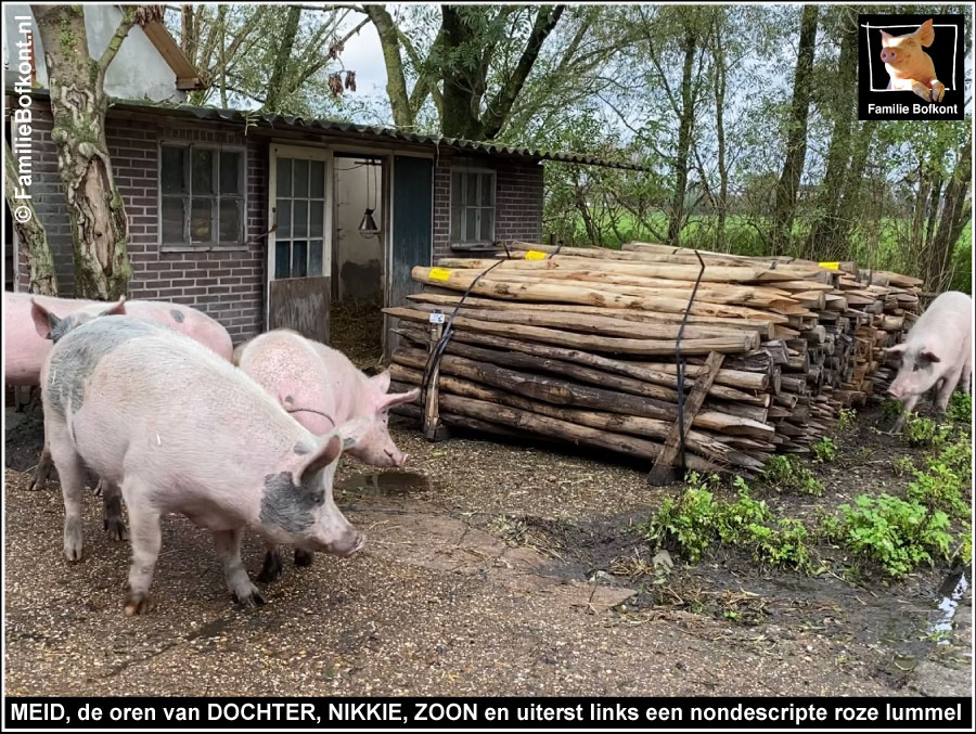 MEID, de oren van DOCHTER, NIKKIE, ZOON en uiterst links een nondescripte roze lummel